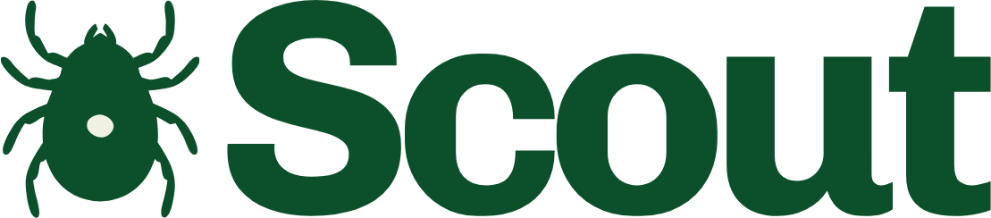 Scout